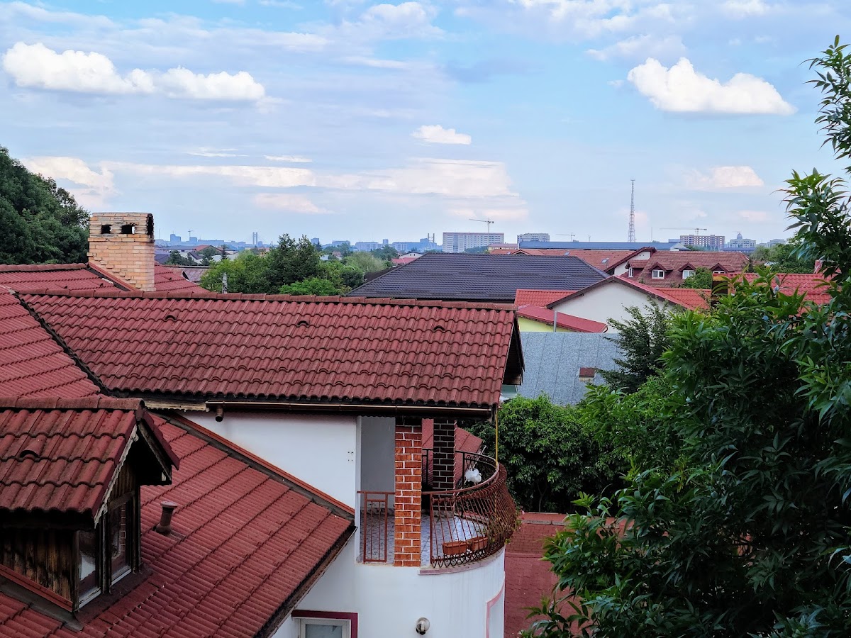 Pădurea Dudu - foto 4