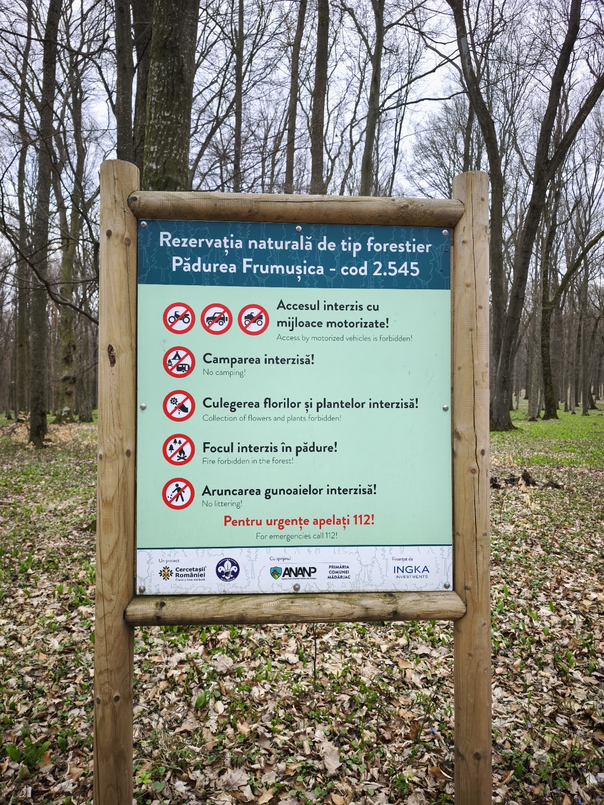 Frumuşica Erdő - foto 2