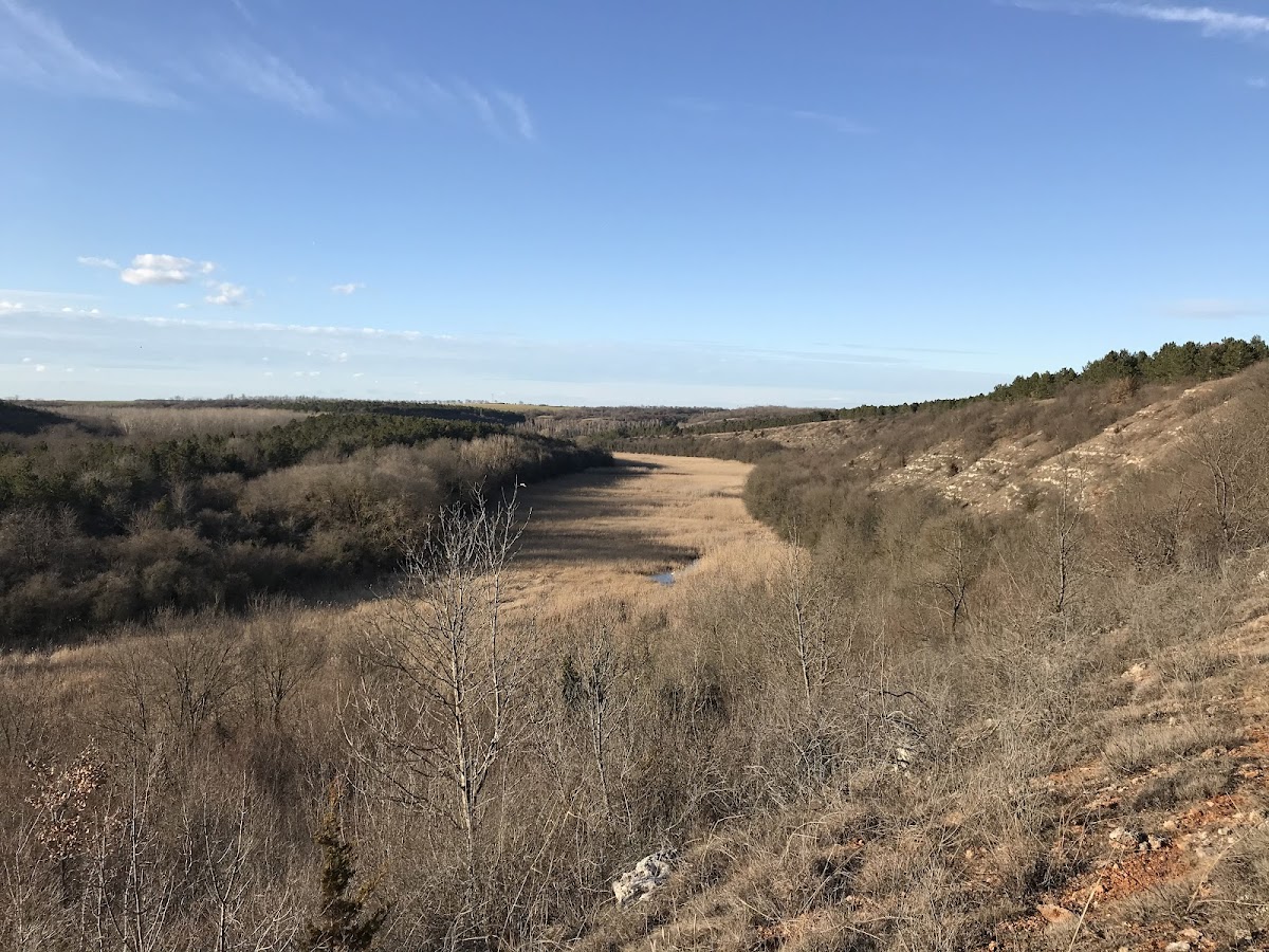 Hagieni Forest