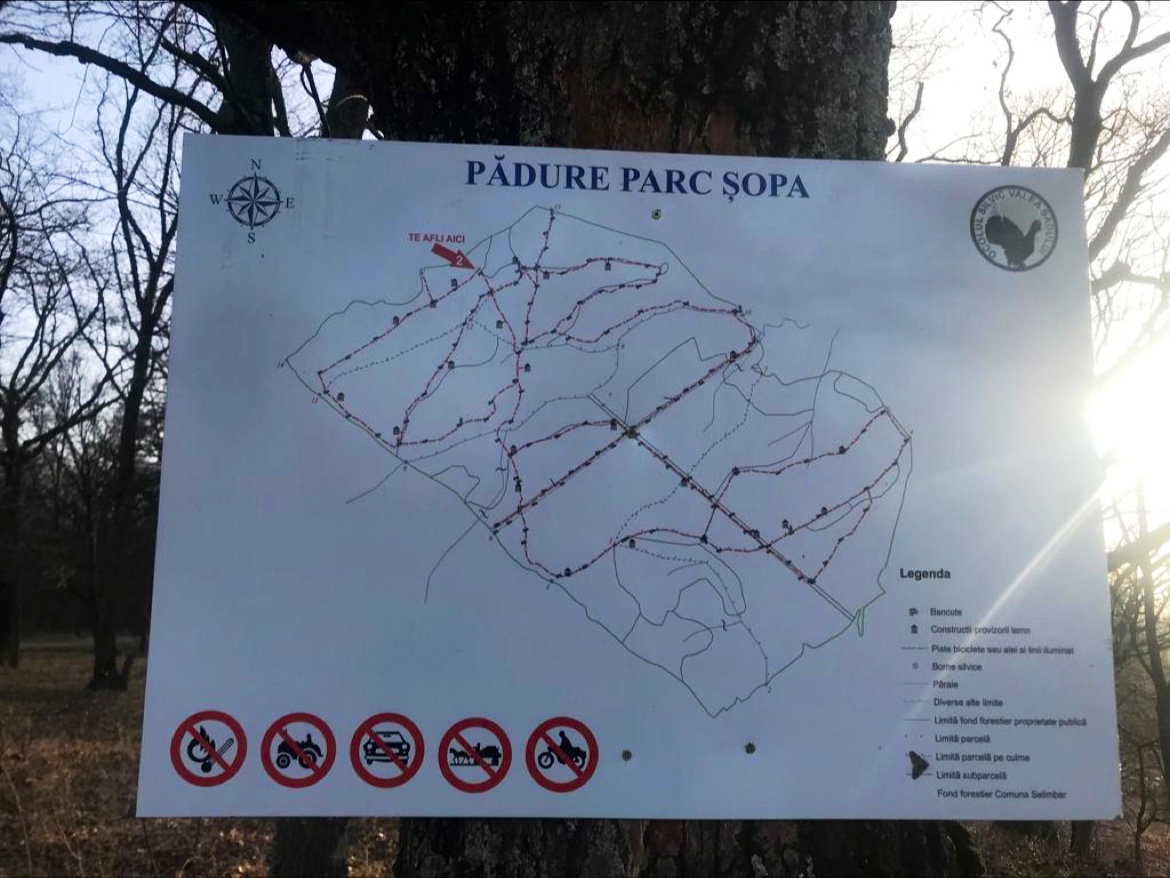 Pădurea Parc Șopa - Șelimbăr - foto 2