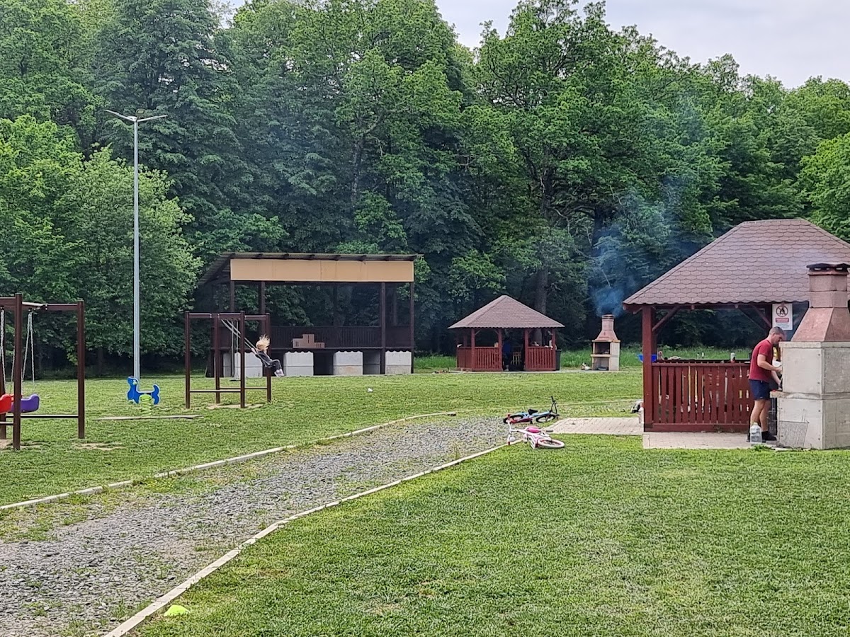 Pădurea Parc Șopa - Șelimbăr - foto 4