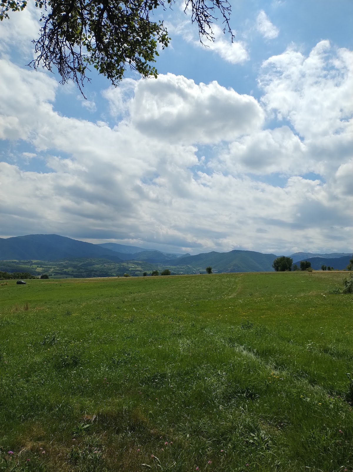 Pădurea Parc Șopa - Șelimbăr - foto 5