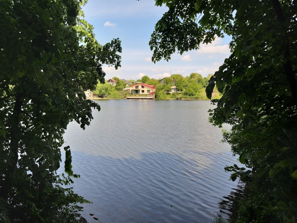 Pădurea Pustnicu - foto 4