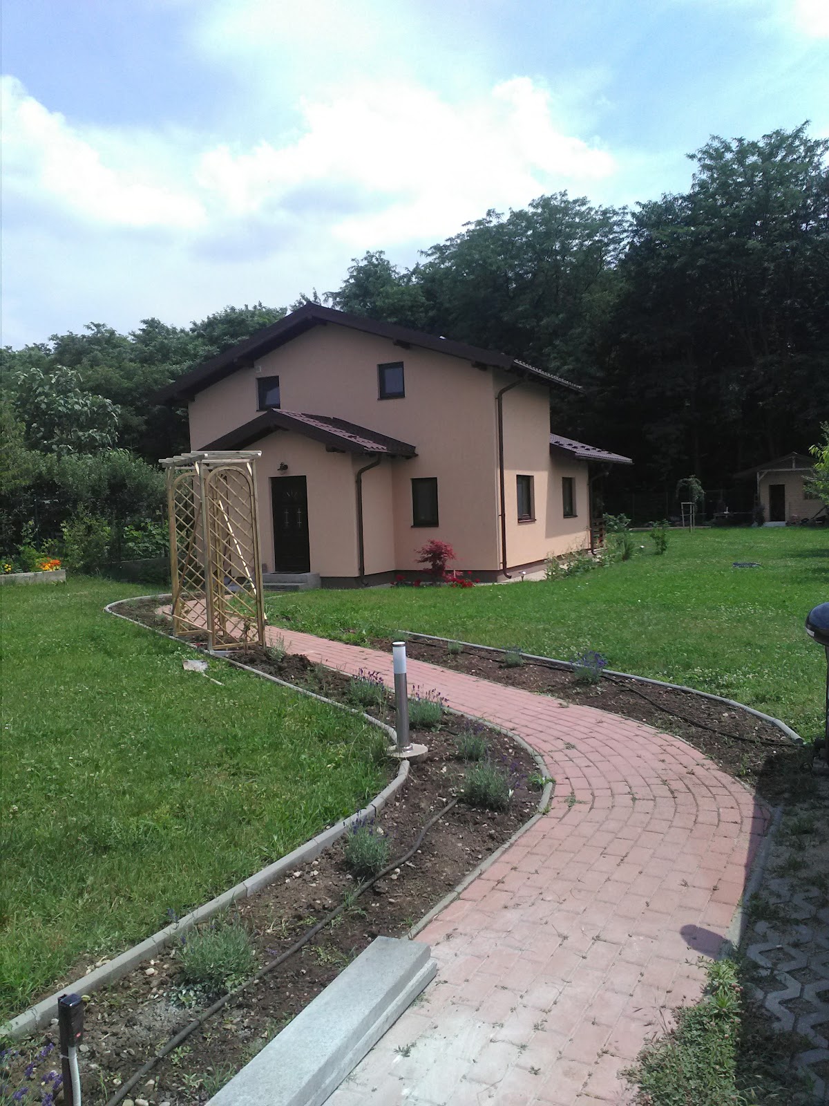 Pădurea Runcu - foto 3