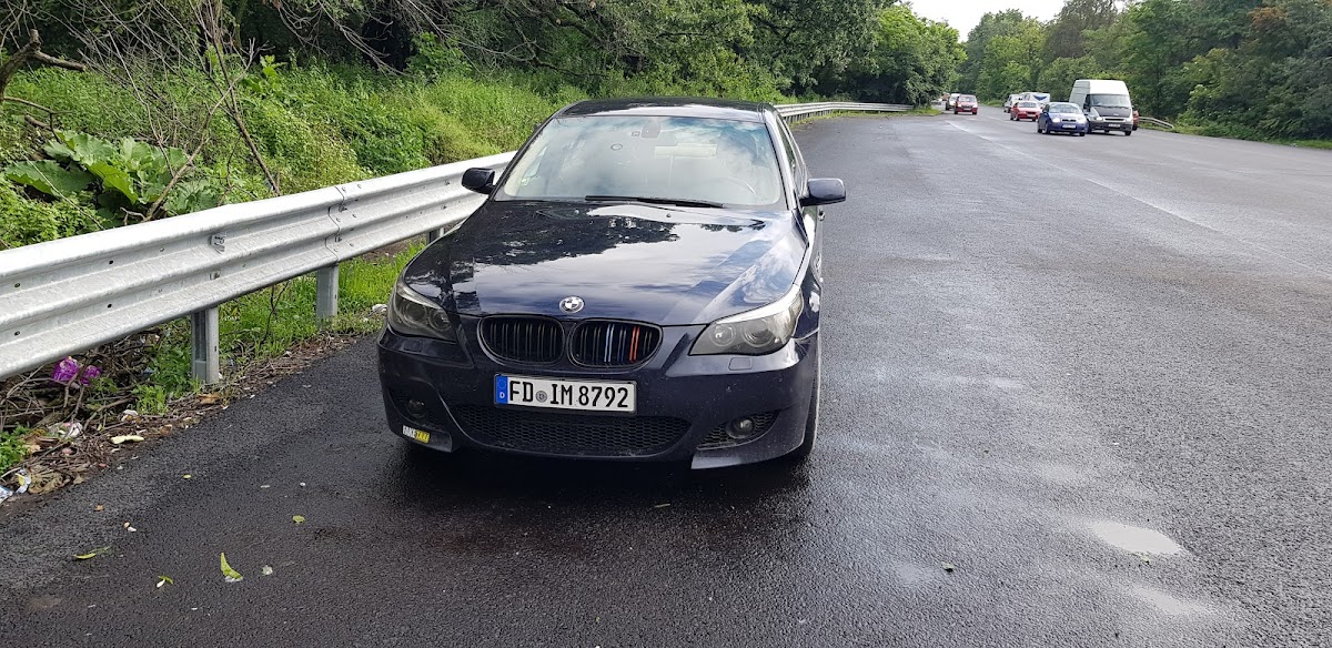 Pădurea Sineşti - foto 5