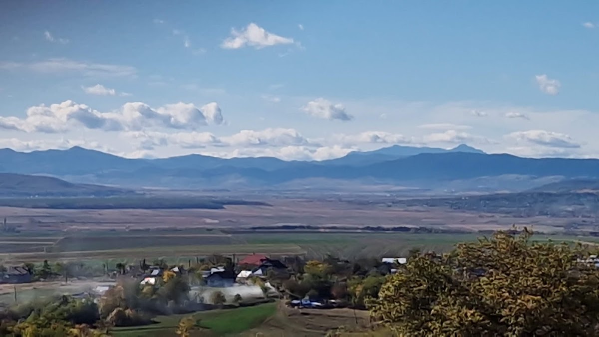 Pădurea Tătăruşi