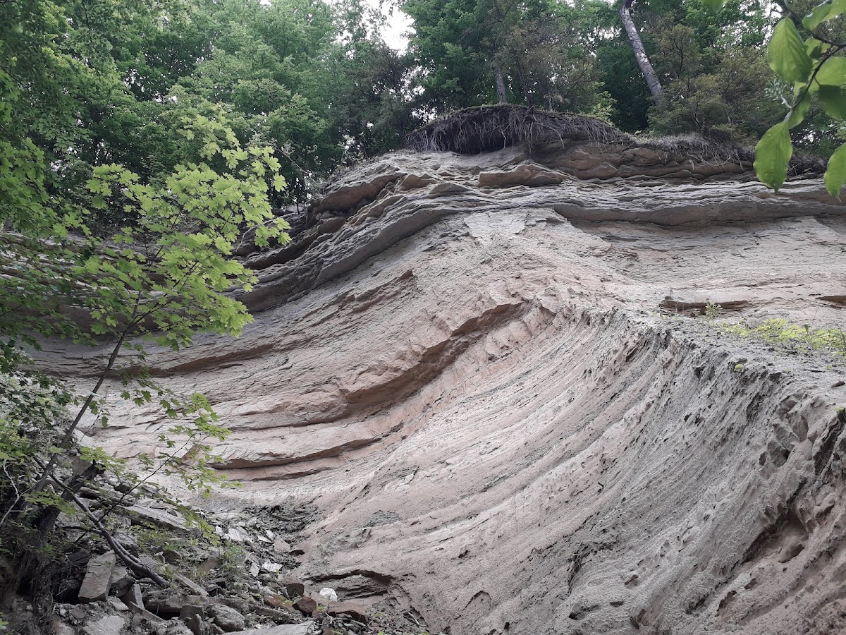 Pădurea Tudora - foto 1