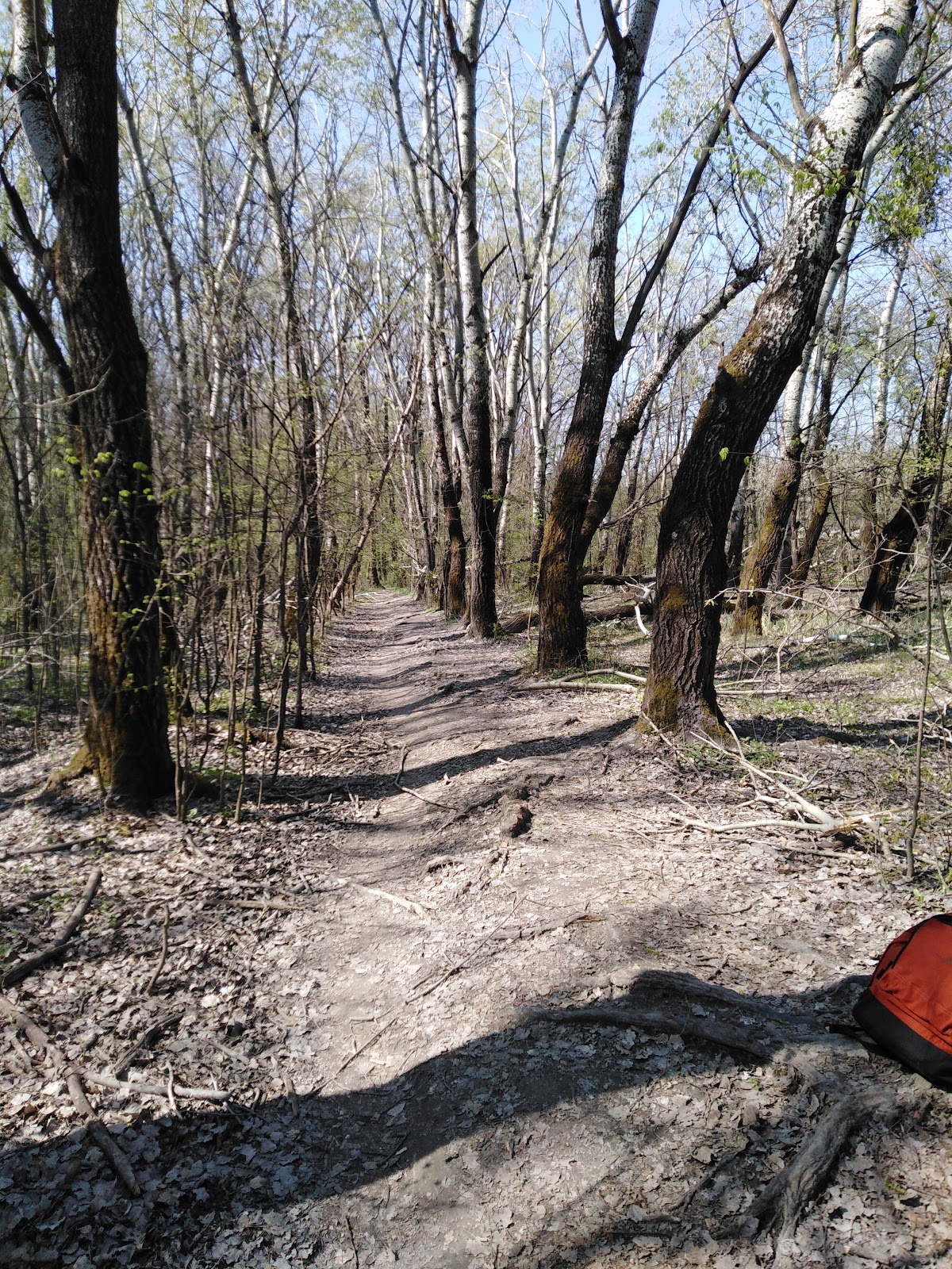 Bosque de Tunari - foto 3