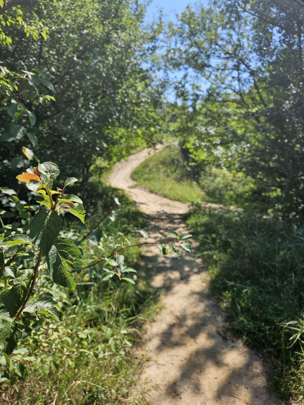 Forêt Zamca - foto 2