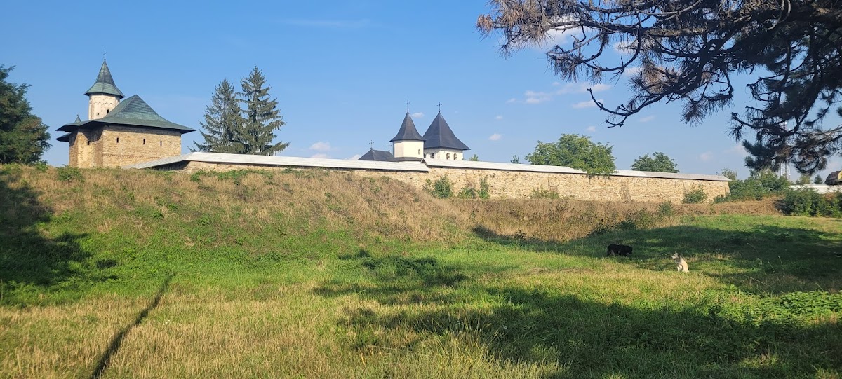 Forêt Zamca - foto 3