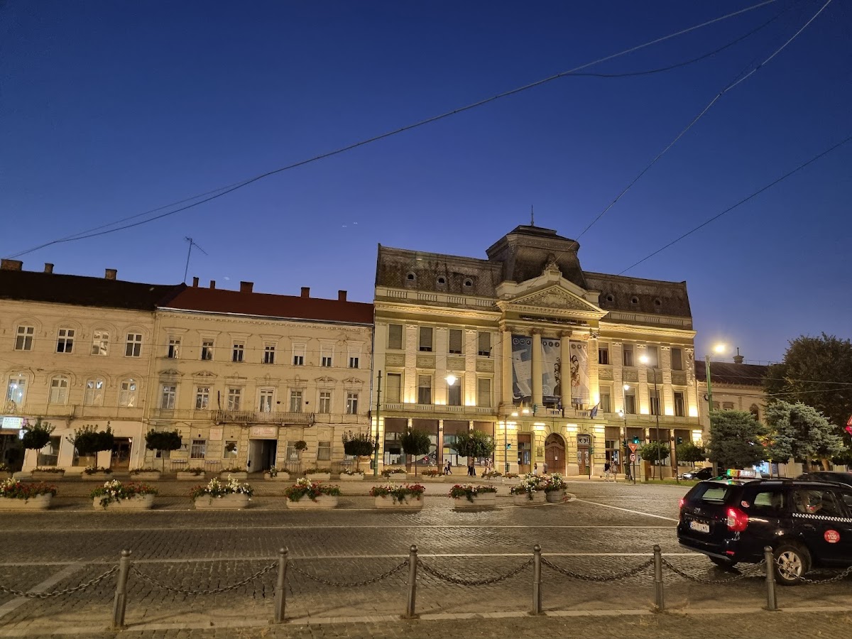 Palatul Bancii Nationale - Arad - foto 5