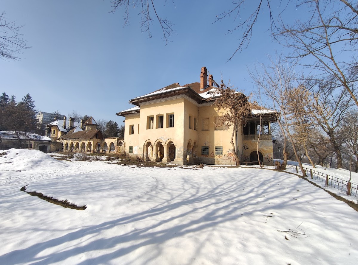 Palatul Cantacuzino
