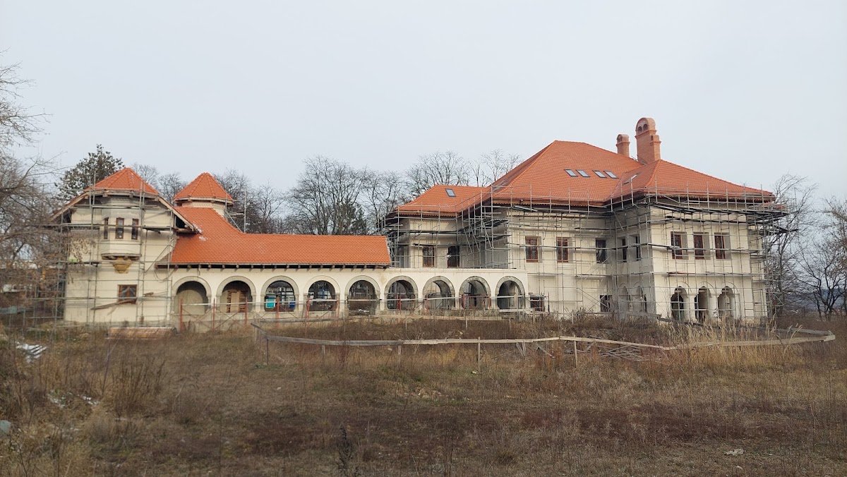 Palatul Cantacuzino - foto 2
