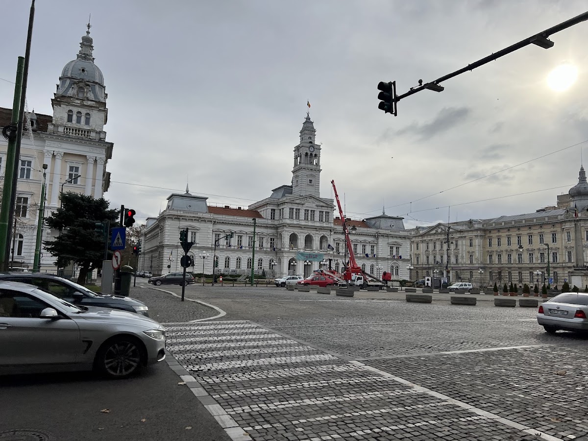 Palatul Cenad - foto 3