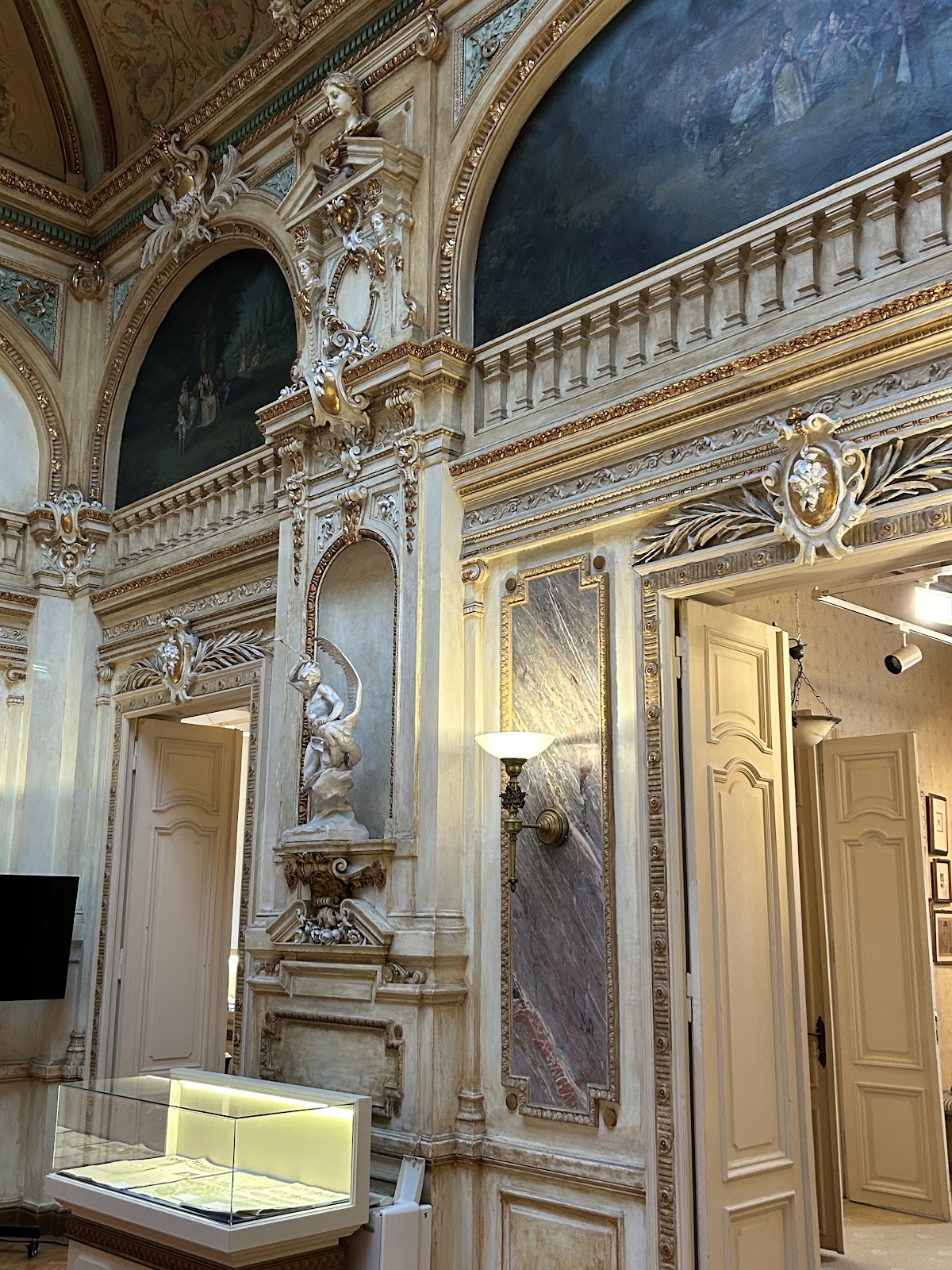 Palatul Cesianu-Racoviță - foto 3