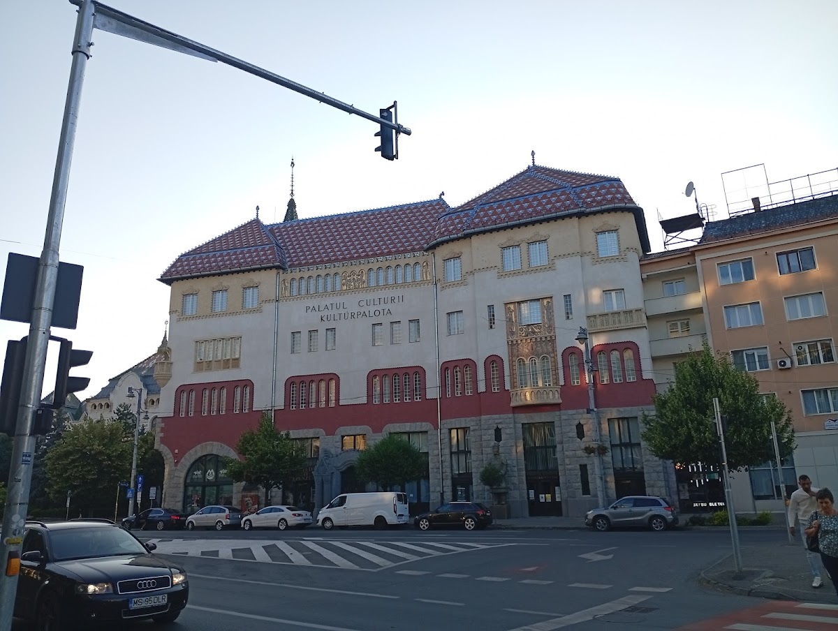 Palatul Culturii din Târgu Mureș - foto 5