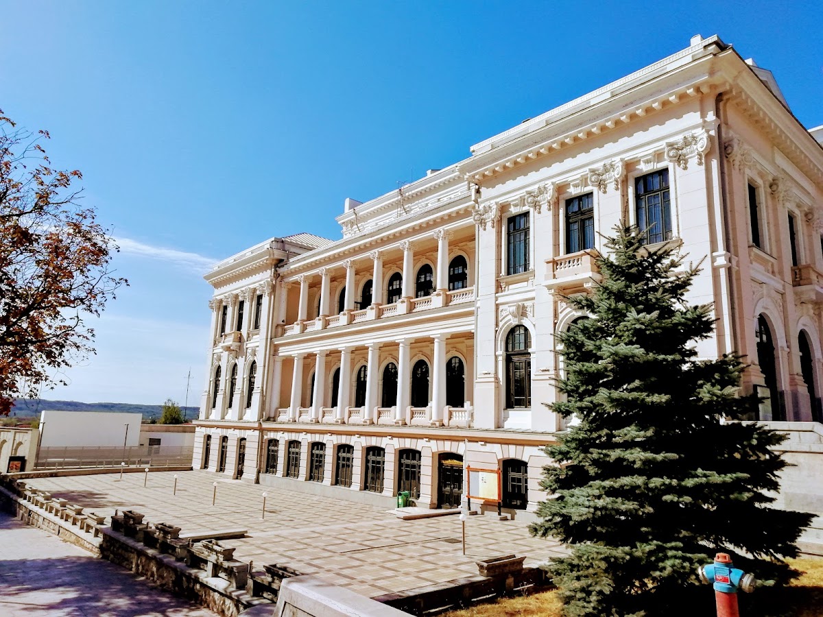 特奥多尔·科斯图斯库文化宫 - foto 2