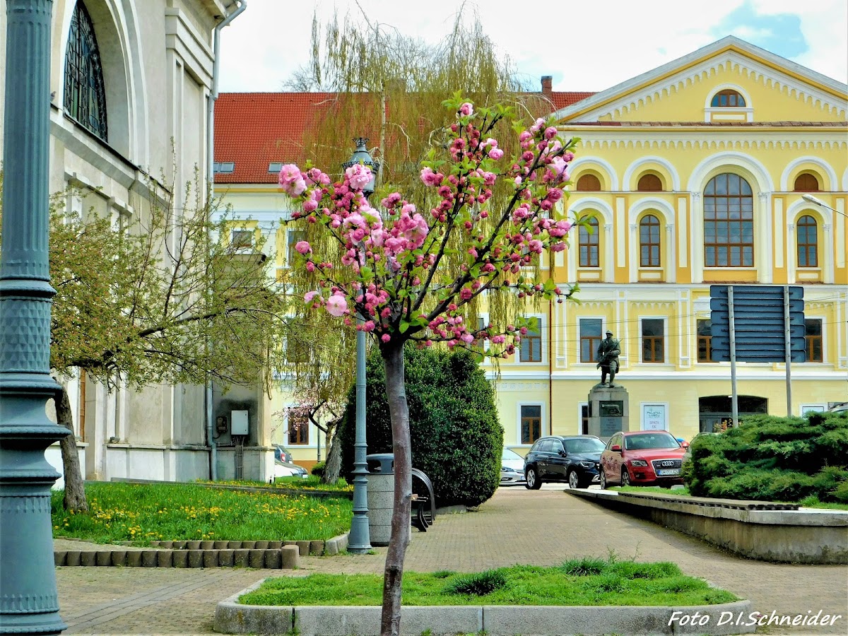 Palatul Lugoj - foto 2