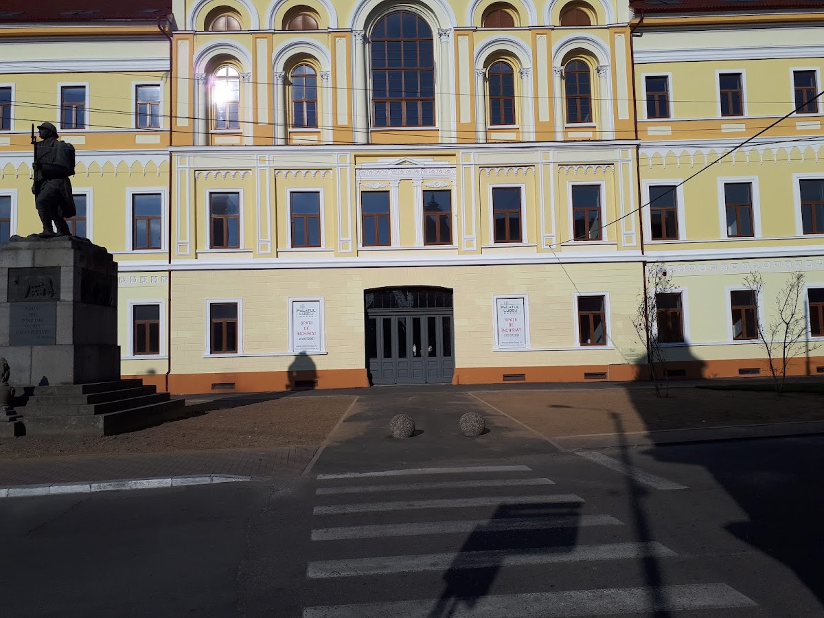 Palatul Lugoj - foto 5