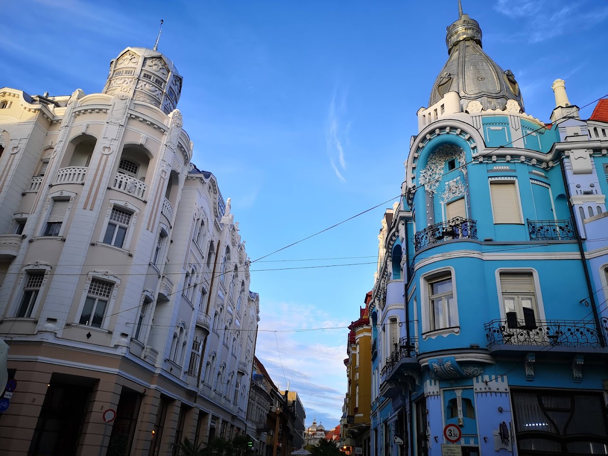 Palatul "Moskovits" - foto 3