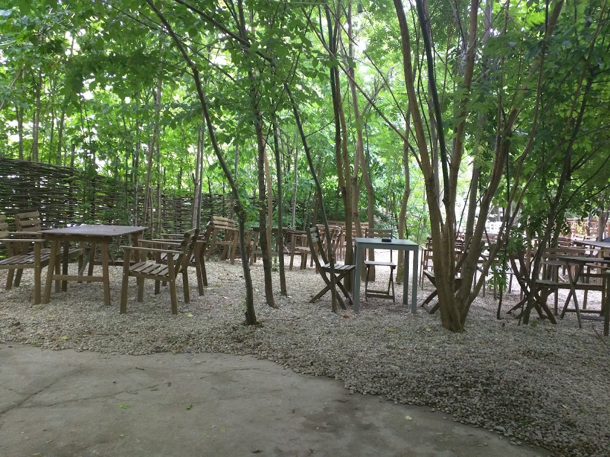 Palazzo Stirbei - foto 5