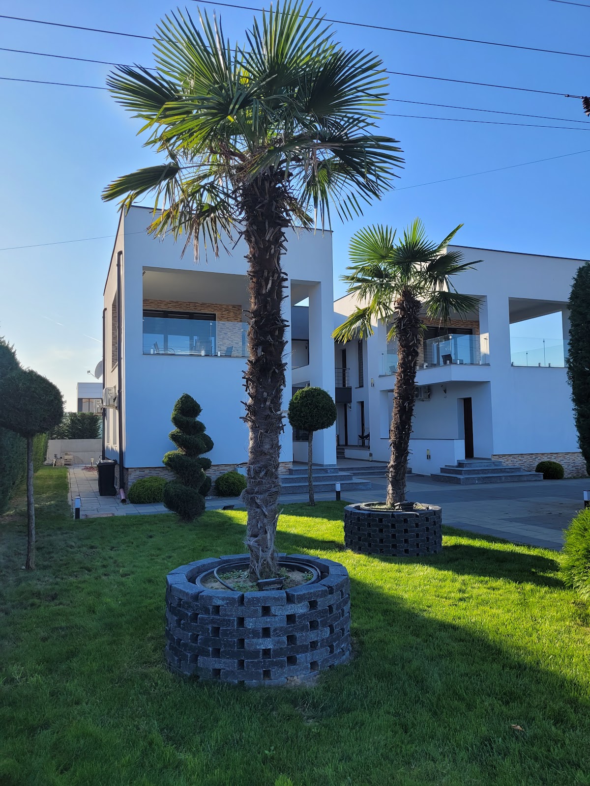 Palm Hotels Sebes - foto 1