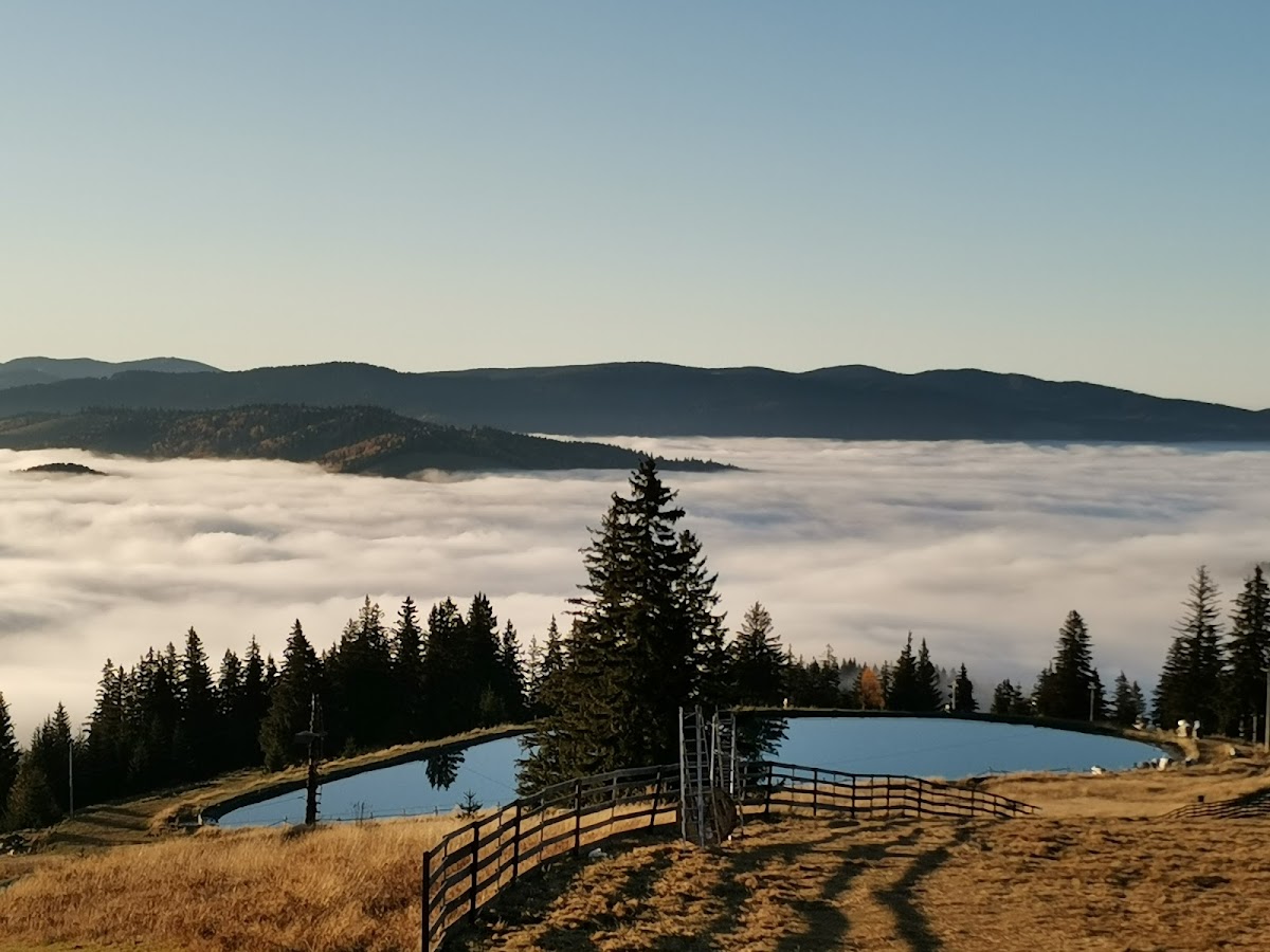 Păltiniș Arena - foto 3