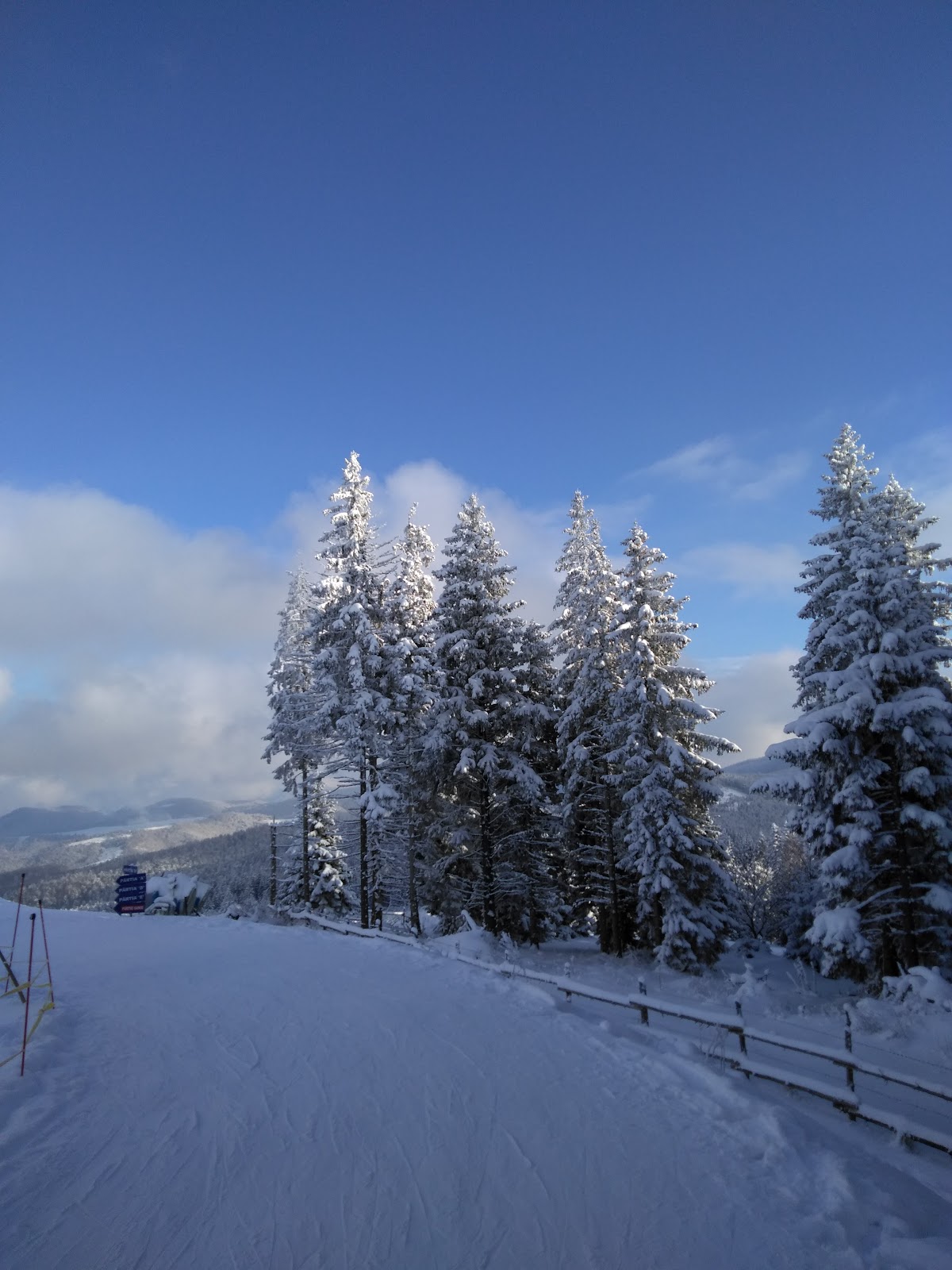 Păltiniș Arena - foto 5