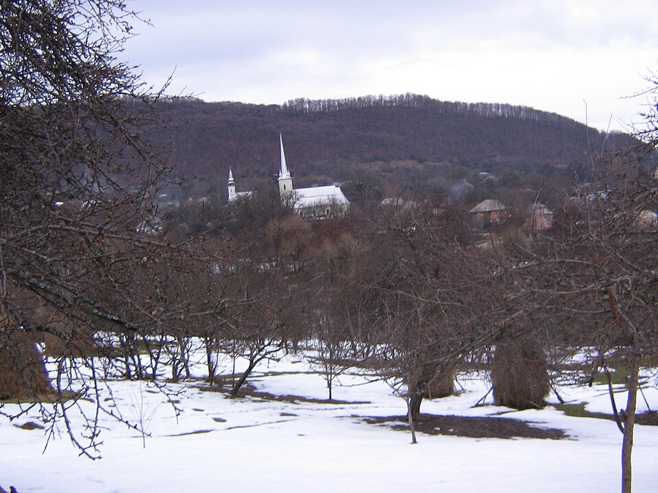 Panorama Coroieni, Coroieni
