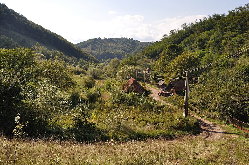 Panorama Dumbrava de Sus