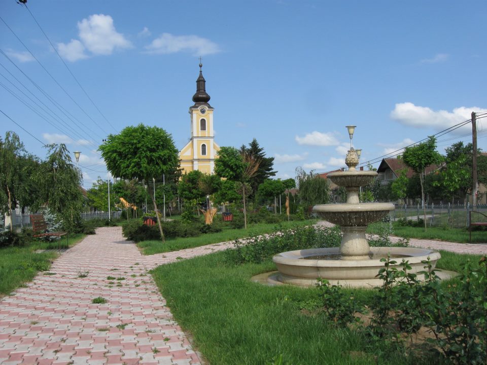 Panorama Foieni, Foieni