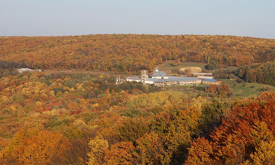 Panorama Grăjdeni, Grăjdeni