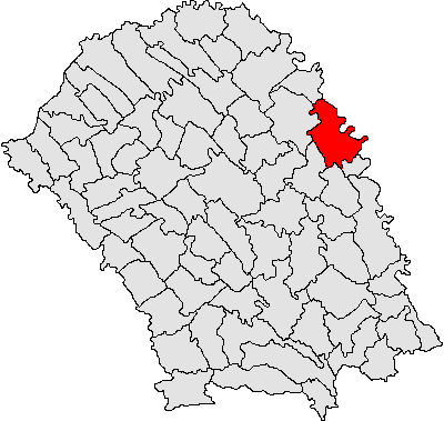 Panorama Manoleasa, Manoleasa