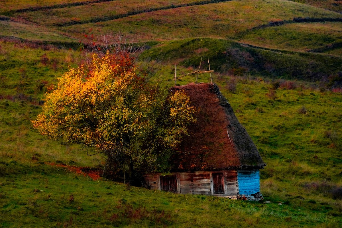Panorama Sălciua - Dumești - Valea Poienii - foto 2