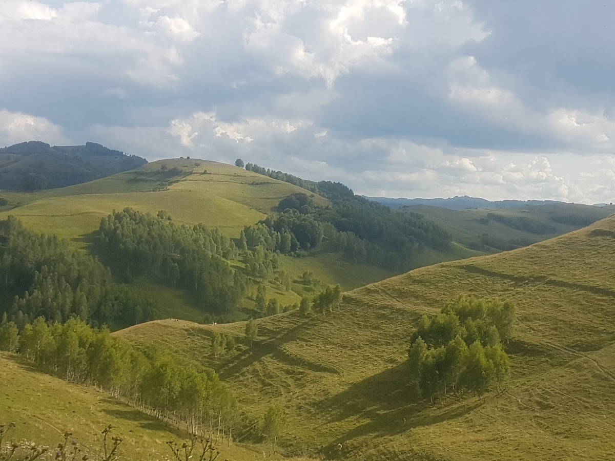 Panorama Sălciua - Dumești - Valea Poienii - foto 3