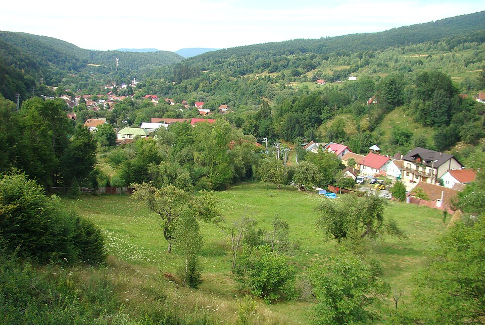 Panorama of Valiug, Văliug