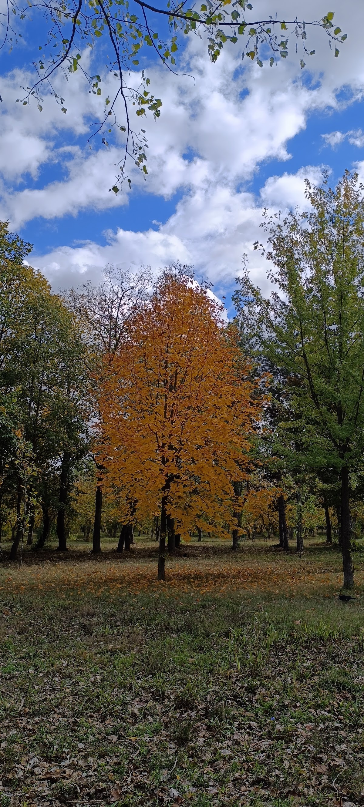 Parc Amara - foto 2
