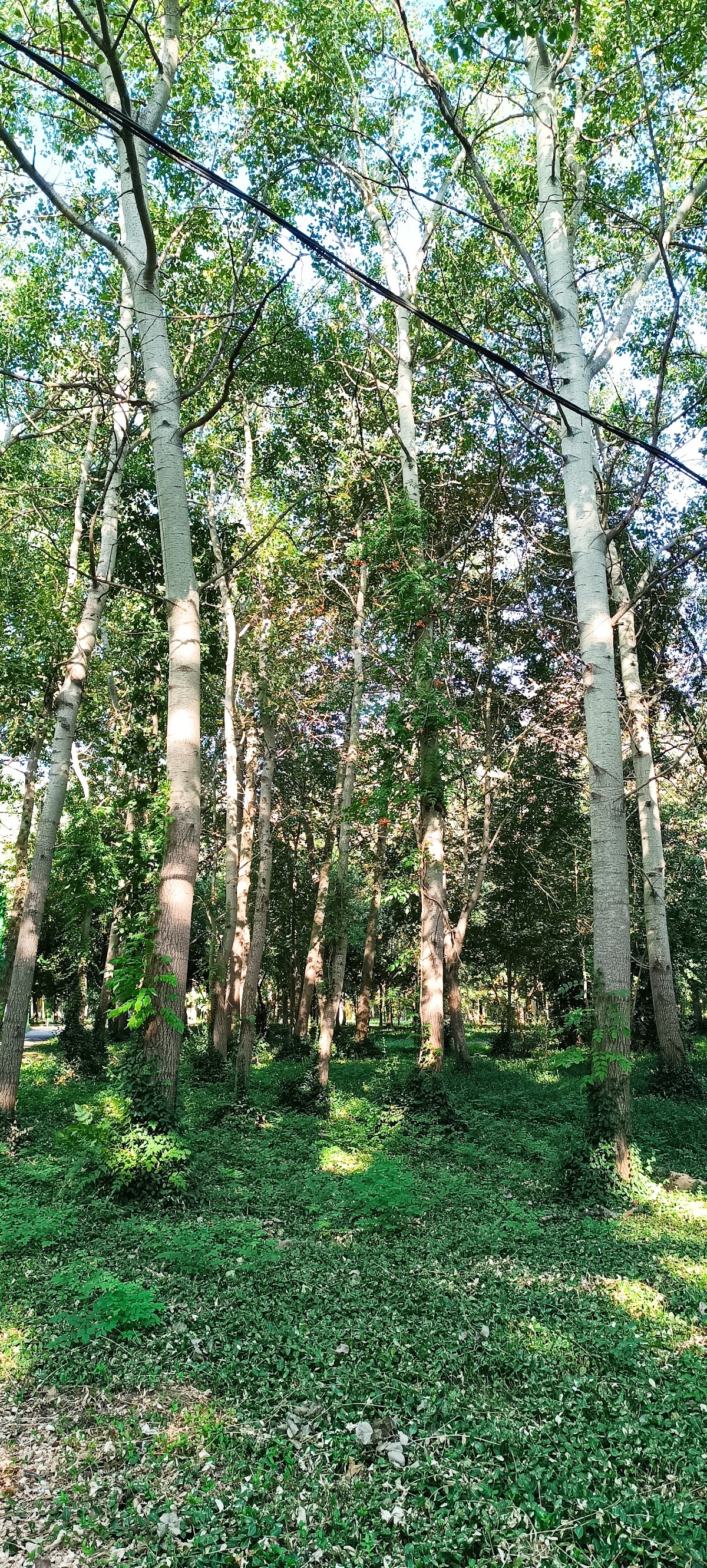 Parc Amara - foto 4