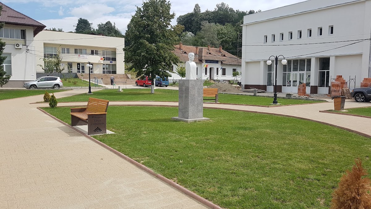Parc amenajat - foto 2