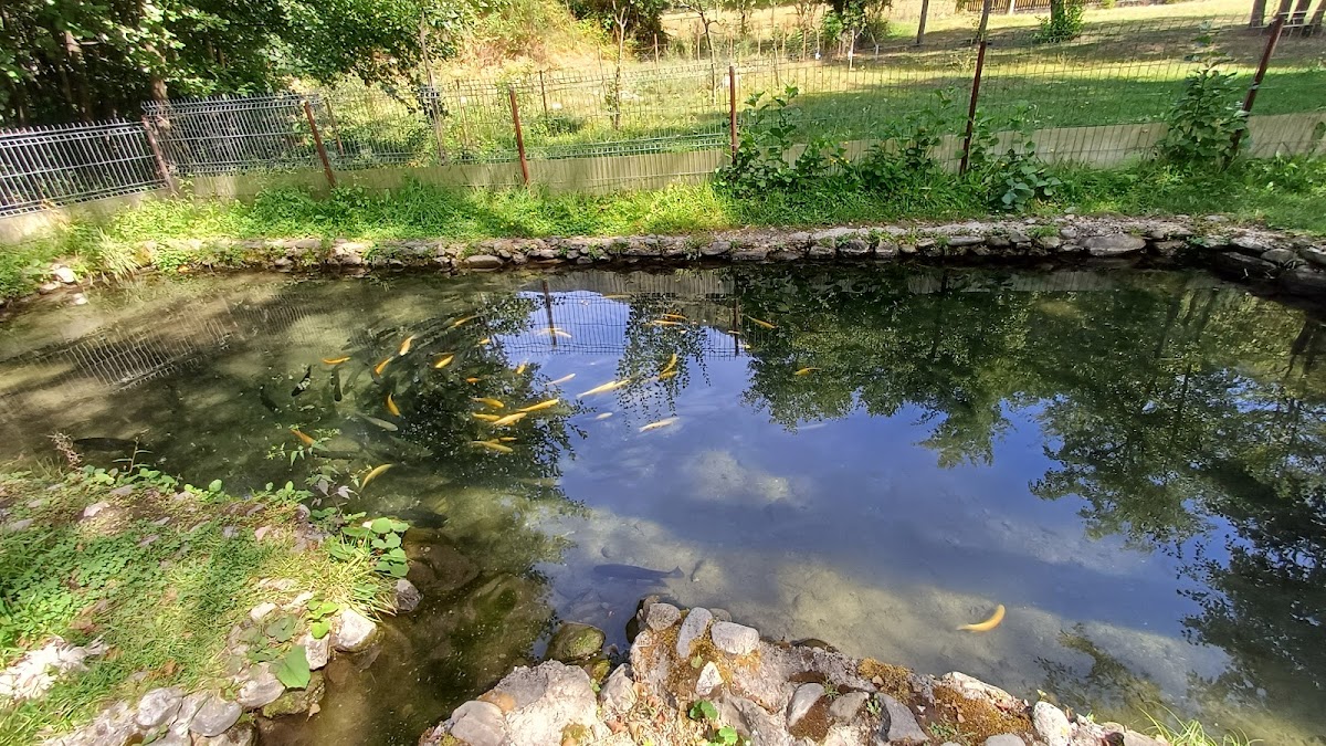 Parc Aventura Vaideeni - Moara Viselor - foto 5
