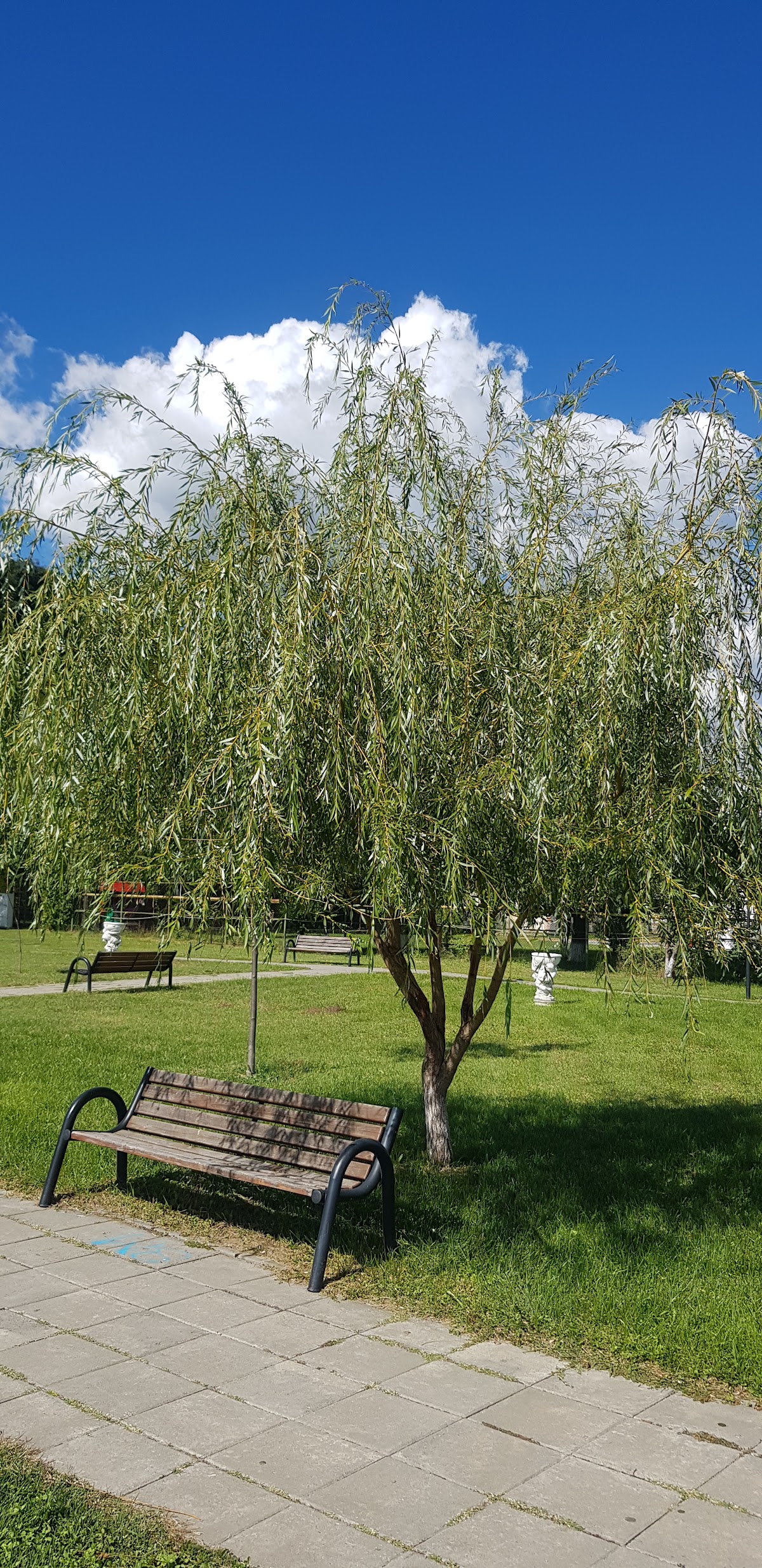 Parc Batca - foto 5