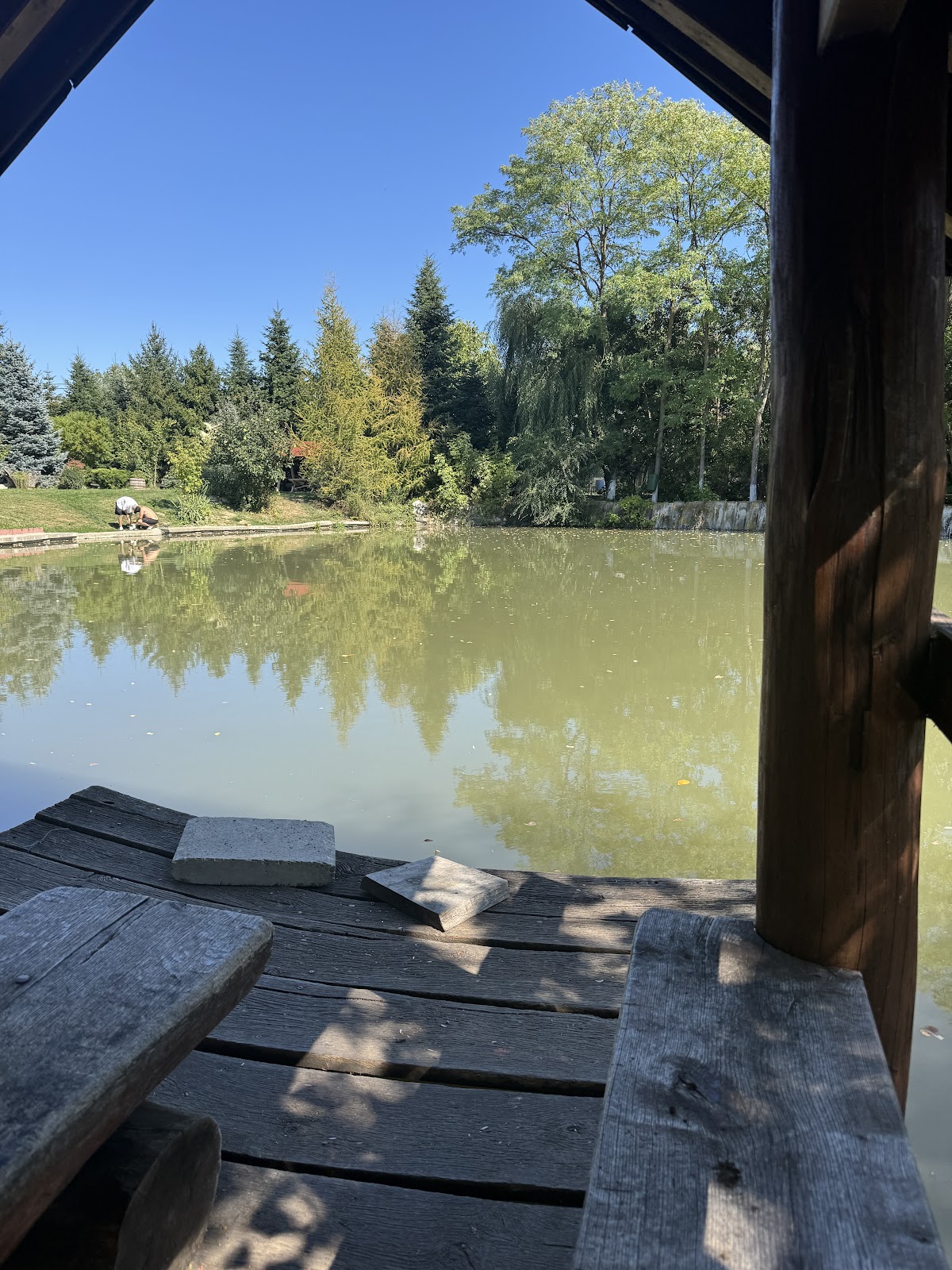 Parco Bătești - foto 4