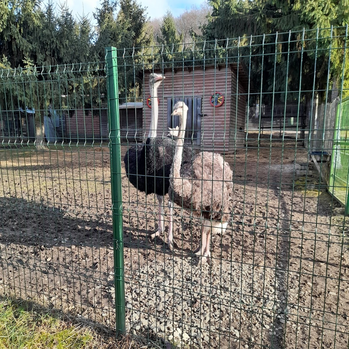 Parc Bejan, Deva