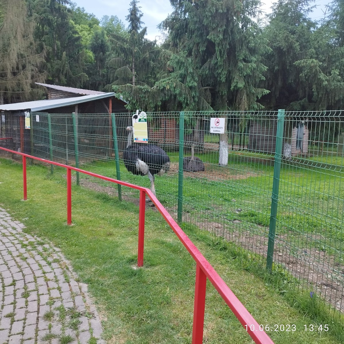 Parc Bejan - foto 4