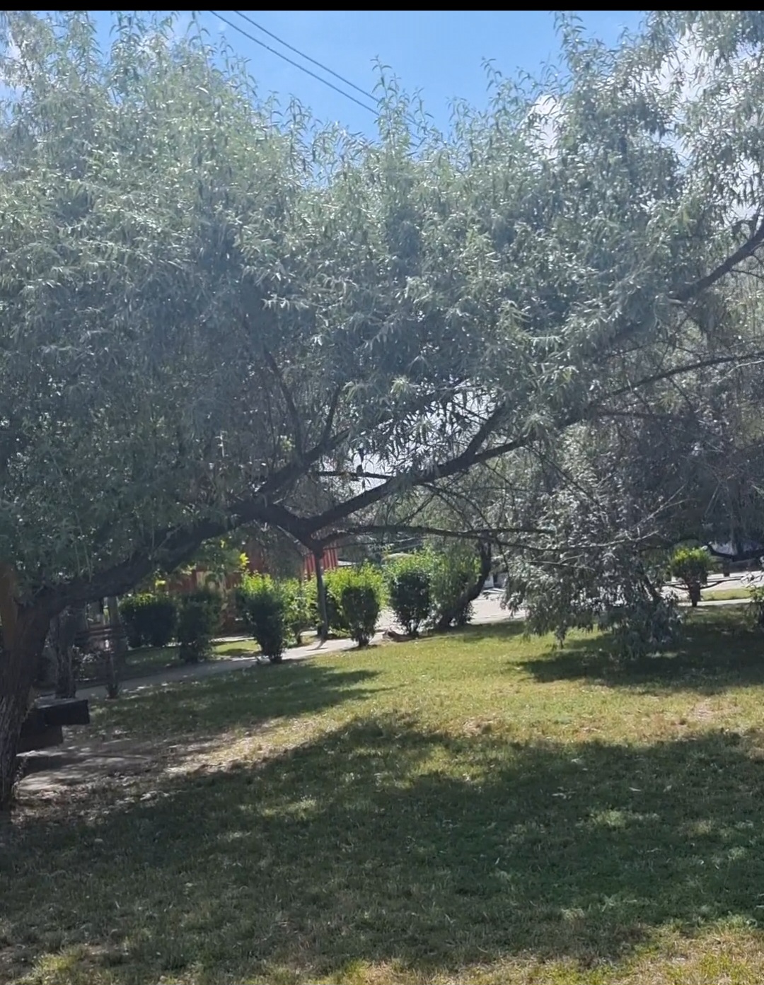 Parc Bragadiru - foto 4