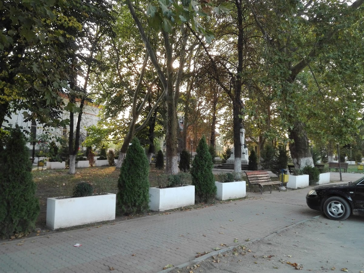 Central Park - foto 2