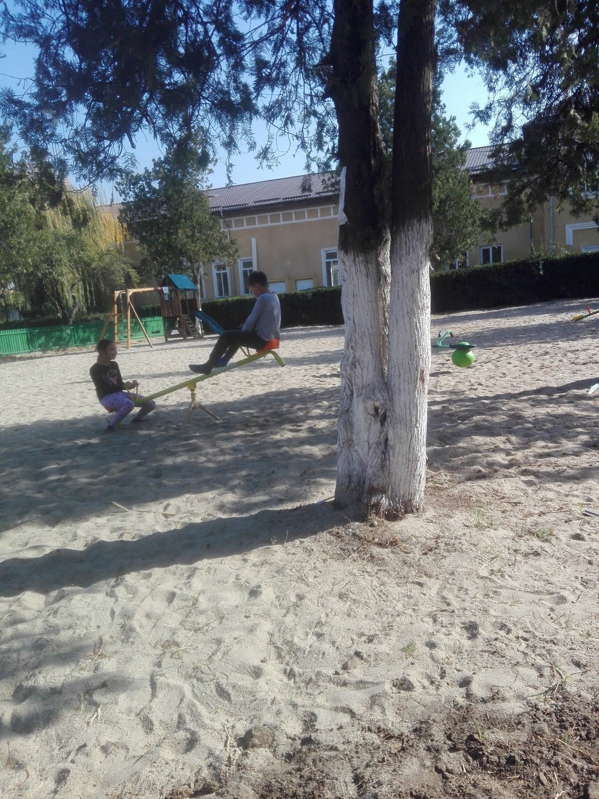 Central Park - foto 5