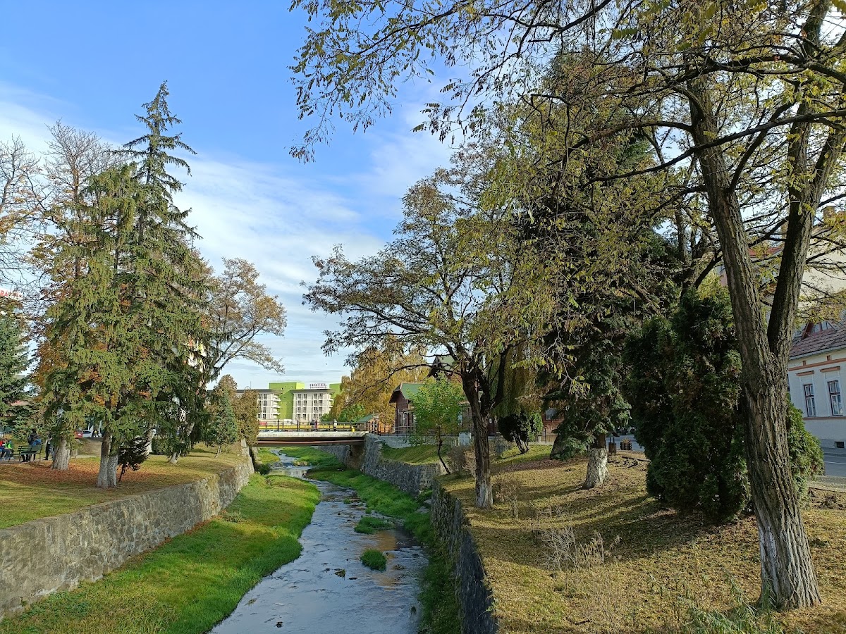 Parc Central Covasna - foto 1