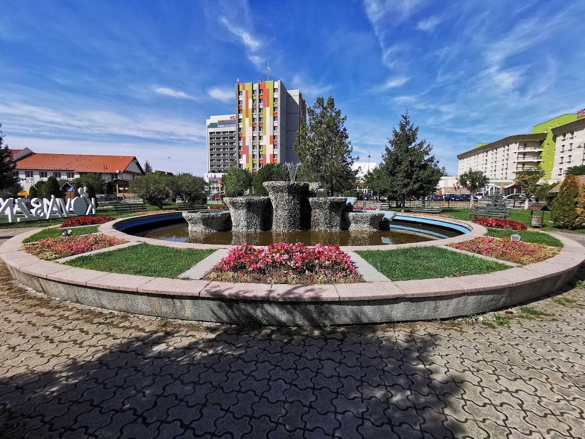 Parc Central Covasna - foto 2