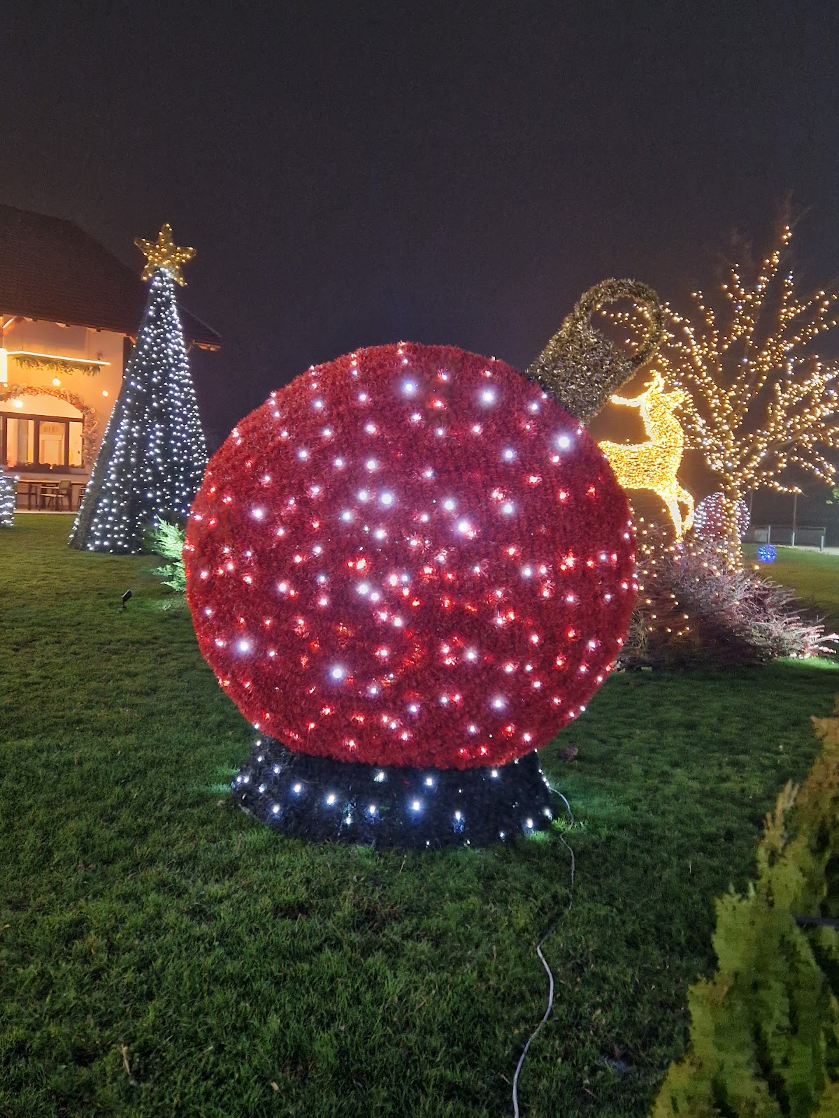 Parc Central Tunari - foto 2